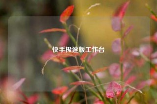 快手极速版工作台