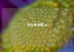 小红书点赞app