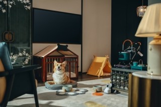 新酒店 | 首间美高梅华府亮相，重塑岭南园林府邸