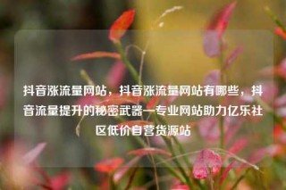 抖音涨流量网站，抖音涨流量网站有哪些，抖音流量提升的秘密武器—专业网站助力亿乐社区低价自营货源站