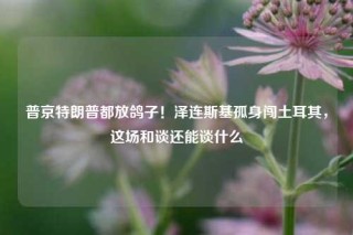 普京特朗普都放鸽子！泽连斯基孤身闯土耳其，这场和谈还能谈什么