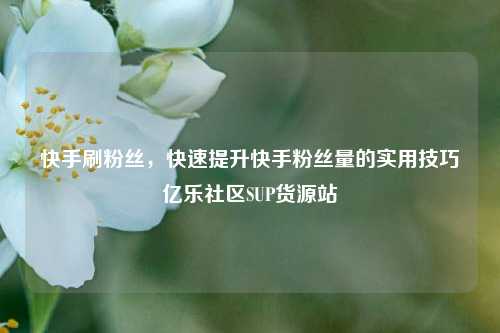 快手刷粉丝，快速提升快手粉丝量的实用技巧亿乐社区SUP货源站  第1张