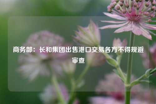 商务部：长和集团出售港口交易各方不得规避审查  第1张