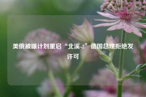 美俄被曝计划重启“北溪-2	”德国总理拒绝发许可  第1张