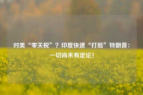 对美“零关税”？印度快速“打脸”特朗普：一切尚未有定论！  第1张