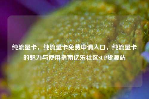 纯流量卡	，纯流量卡免费申请入口，纯流量卡的魅力与使用指南亿乐社区SUP货源站  第1张