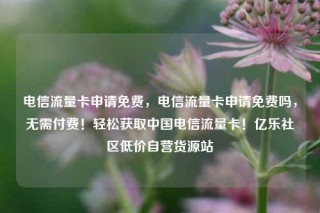 电信流量卡申请免费，电信流量卡申请免费吗，无需付费！轻松获取中国电信流量卡！亿乐社区低价自营货源站