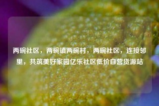 两碗社区，两碗镇两碗村，两碗社区，连接邻里，共筑美好家园亿乐社区低价自营货源站