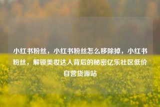 小红书粉丝，小红书粉丝怎么移除掉，小红书粉丝，解锁美妆达人背后的秘密亿乐社区低价自营货源站