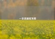 一手货源批发商