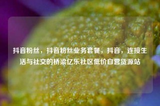 抖音粉丝，抖音粉丝业务套餐，抖音，连接生活与社交的桥梁亿乐社区低价自营货源站