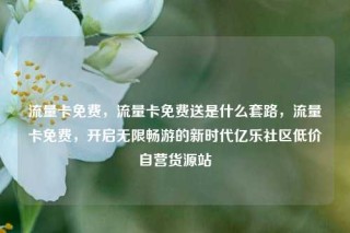 流量卡免费，流量卡免费送是什么套路，流量卡免费，开启无限畅游的新时代亿乐社区低价自营货源站
