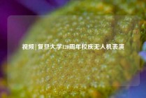 视频|复旦大学120周年校庆无人机表演