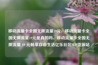 移动流量卡全国无限流量19元，移动流量卡全国无限流量19元是真的吗，移动流量卡全国无限流量 19 元畅享自由生活亿乐社区SUP货源站