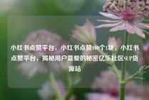 小红书点赞平台，小红书点赞100个1块，小红书点赞平台，揭秘用户喜爱的秘密亿乐社区SUP货源站
