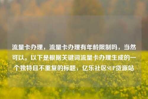 流量卡办理	，流量卡办理有年龄限制吗，当然可以。以下是根据关键词流量卡办理生成的一个独特且不重复的标题，亿乐社区SUP货源站  第1张