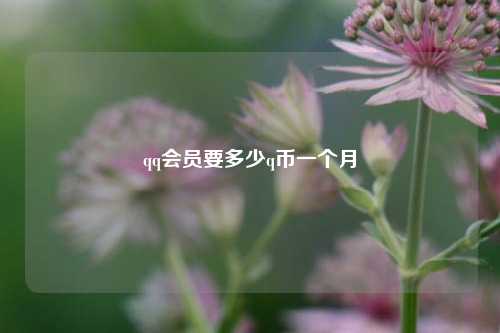 qq会员要多少q币一个月  第1张