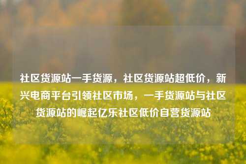 社区货源站一手货源	，社区货源站超低价，新兴电商平台引领社区市场，一手货源站与社区货源站的崛起亿乐社区低价自营货源站  第1张