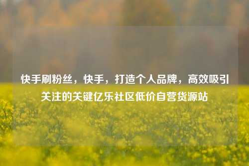 快手刷粉丝，快手，打造个人品牌	，高效吸引关注的关键亿乐社区低价自营货源站  第1张