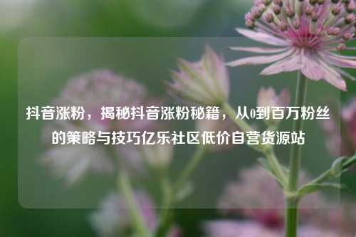 抖音涨粉，揭秘抖音涨粉秘籍	，从0到百万粉丝的策略与技巧亿乐社区低价自营货源站  第1张