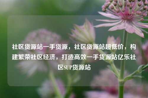 社区货源站一手货源，社区货源站超低价，构建繁荣社区经济	，打造高效一手货源站亿乐社区SUP货源站  第1张
