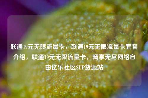 联通19元无限流量卡，联通19元无限流量卡套餐介绍，联通19元无限流量卡	，畅享无尽网络自由亿乐社区SUP货源站  第1张