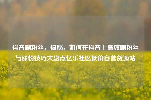 抖音刷粉丝，揭秘，如何在抖音上高效刷粉丝与涨粉技巧大盘点亿乐社区低价自营货源站  第1张